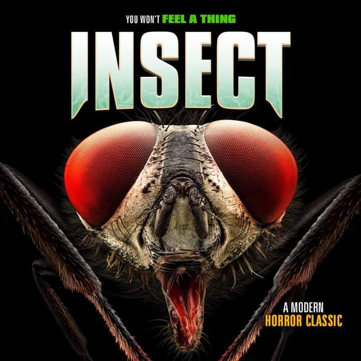 insect terror italiano