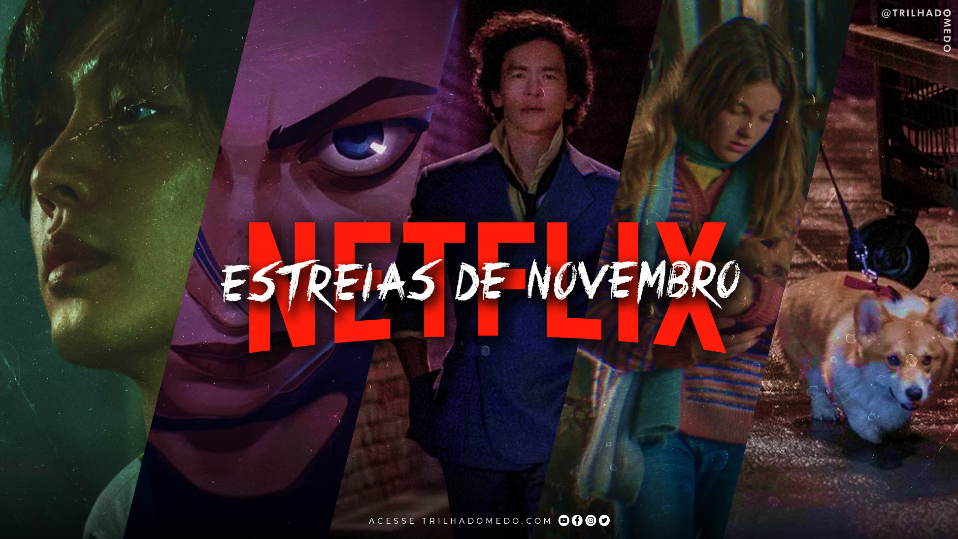 LANÇAMENTOS NETFLIX NOVEMBRO 2022  Netflix Brasil [lista completa de  filmes, séries e animes] 
